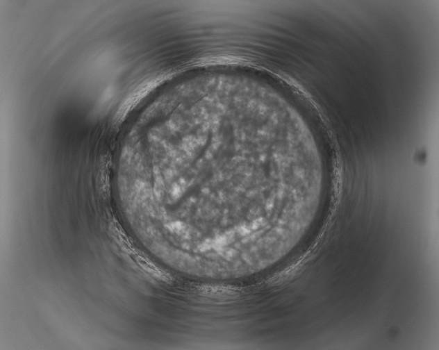 X0000115410921200912011336