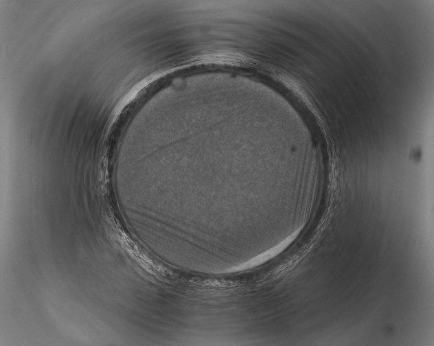 X0000115410923200912011336