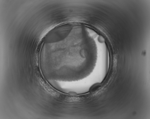 X0000115410925200912011337