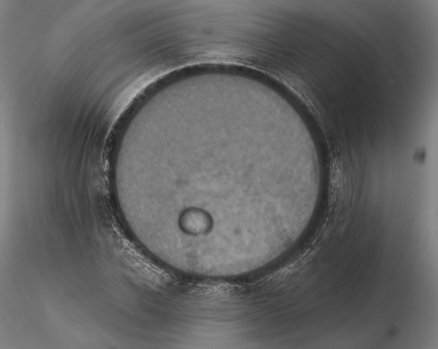 X0000115410926200912011337