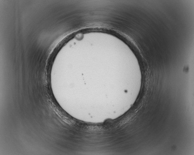 X0000115410927200912011337