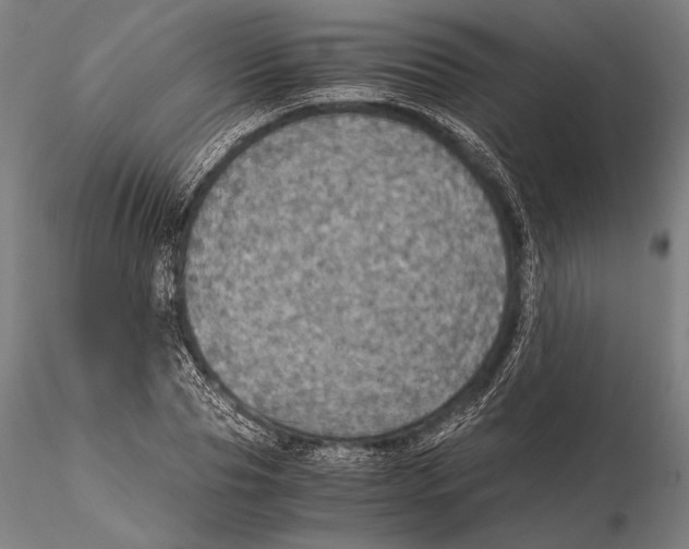 X0000115410929200912011337