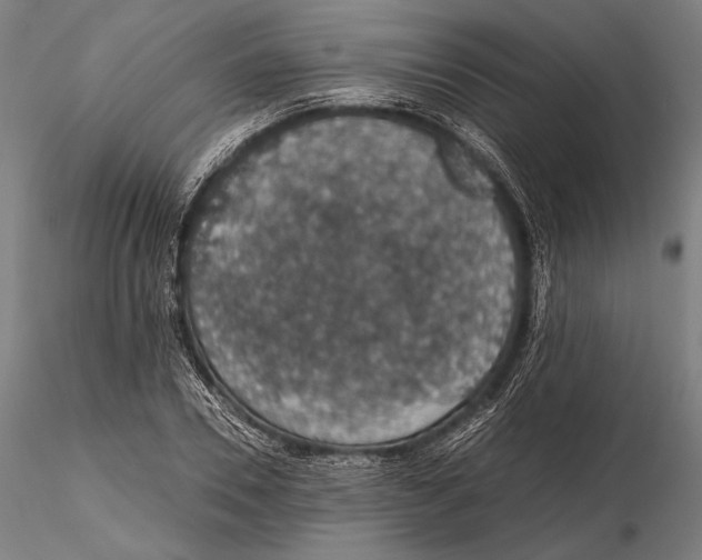 X0000115410930200912011337