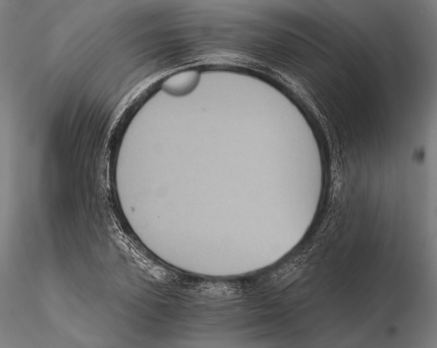 X0000115410931200912011337