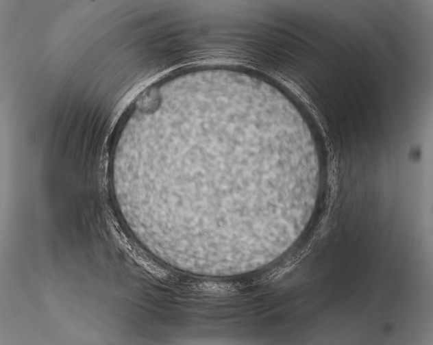 X0000115410933200912011337