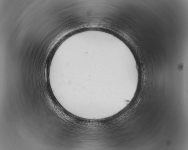 X0000115410934200912011337