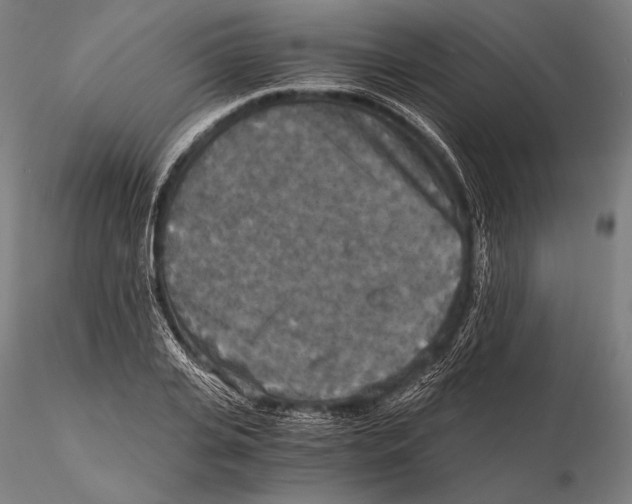 X0000115410935200912011337