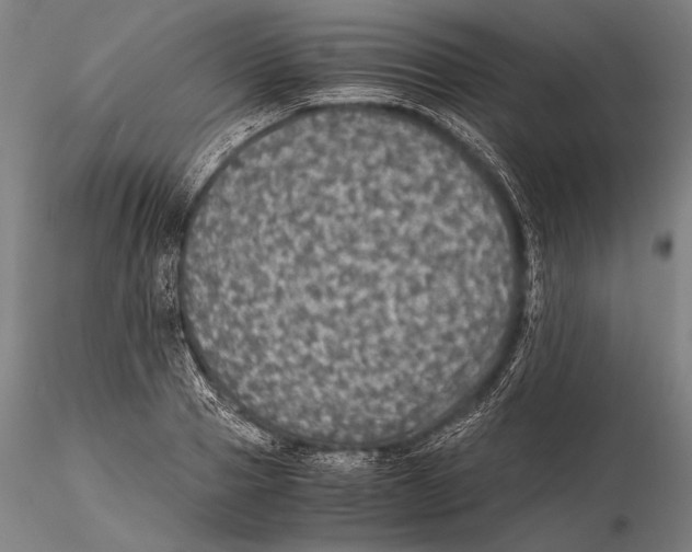 X0000115410937200912011337