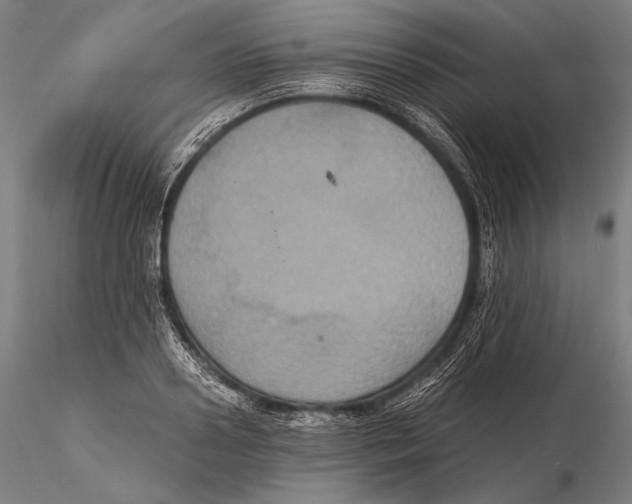 X0000115410938200912011337