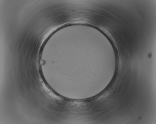 X0000115410941200912011337