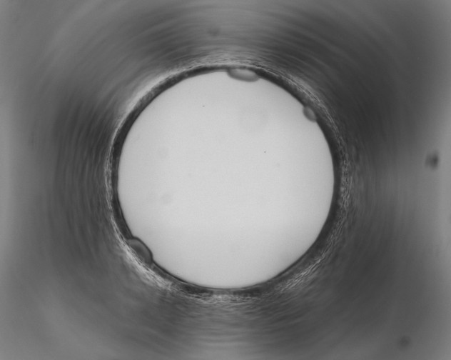 X0000115410942200912011337