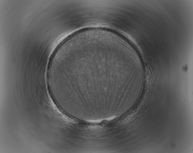 X0000115410943200912011337