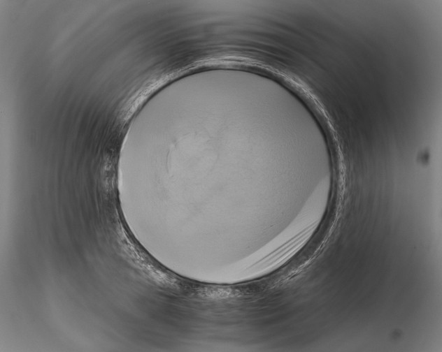 X0000115410945200912011337