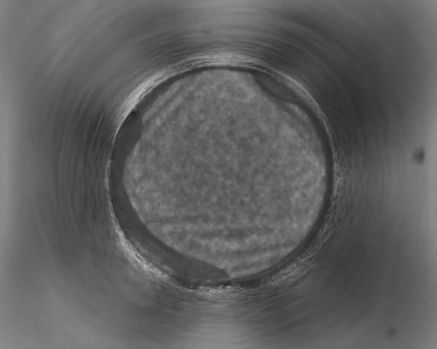 X0000115410946200912011337