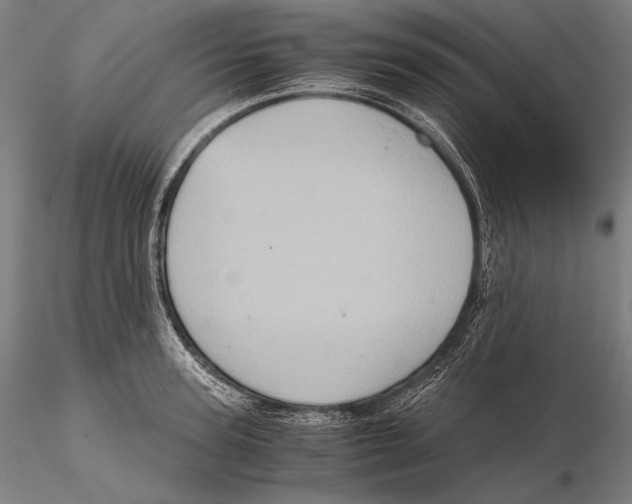 X0000115410947200912011337