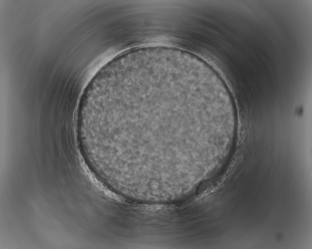 X0000115410949200912011337