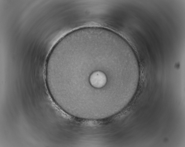 X0000115410950200912011337