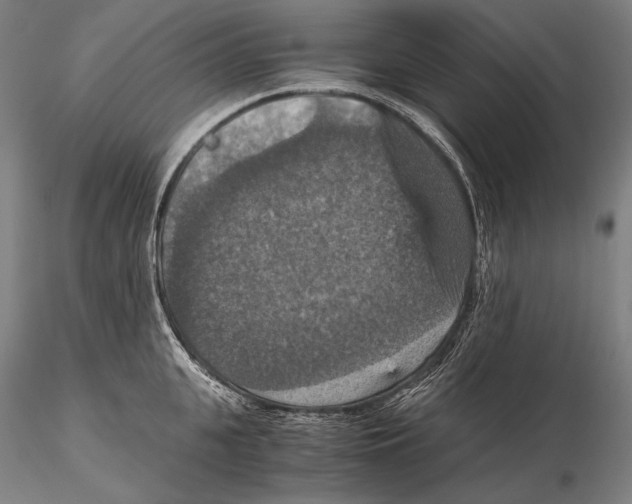 X0000115410951200912011337