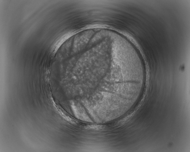 X0000115410953200912011337