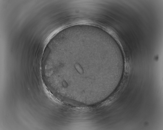 X0000115410954200912011337