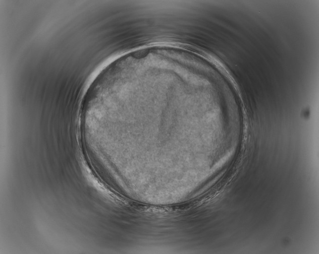 X0000115410955200912011337