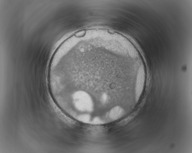 X0000115410957200912011337