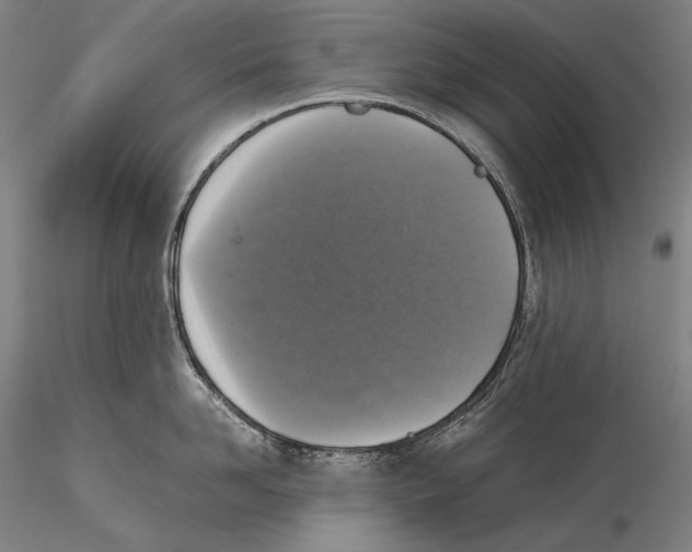 X0000115410958200912011337