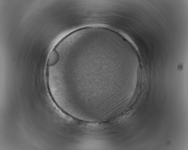 X0000115410959200912011337