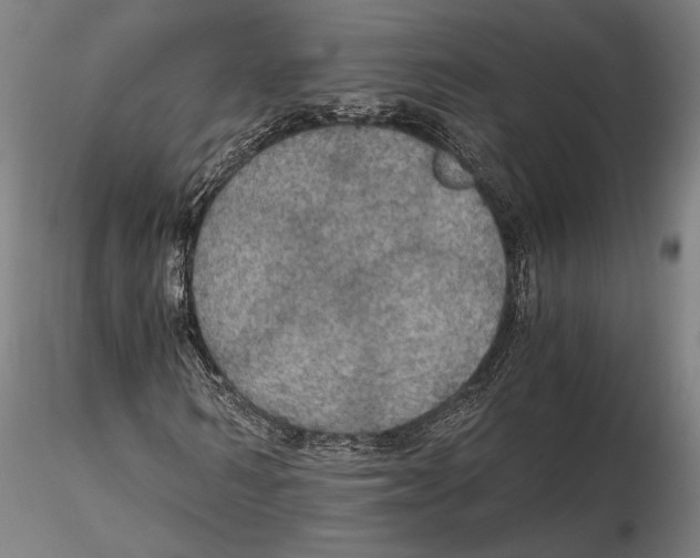 X0000115410962200912011336