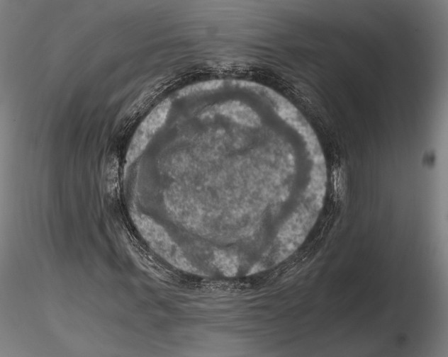 X0000115410963200912011336