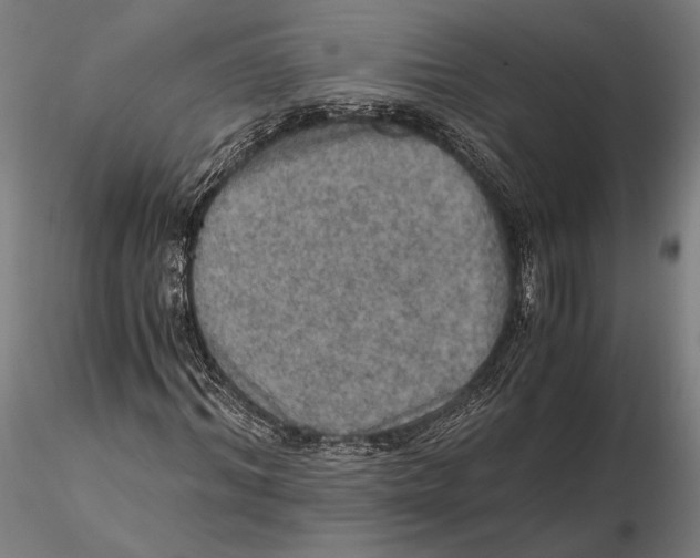 X0000115410964200912011336