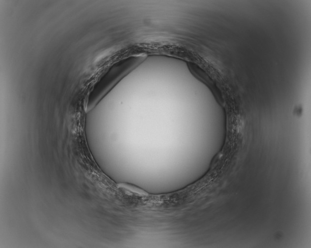 X0000115410965200912011336