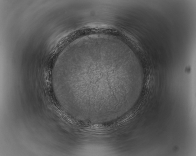 X0000115410966200912011336