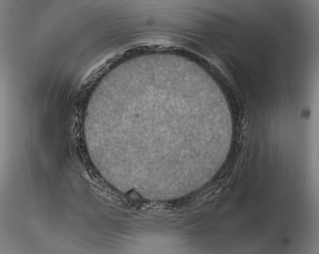 X0000115410967200912011336