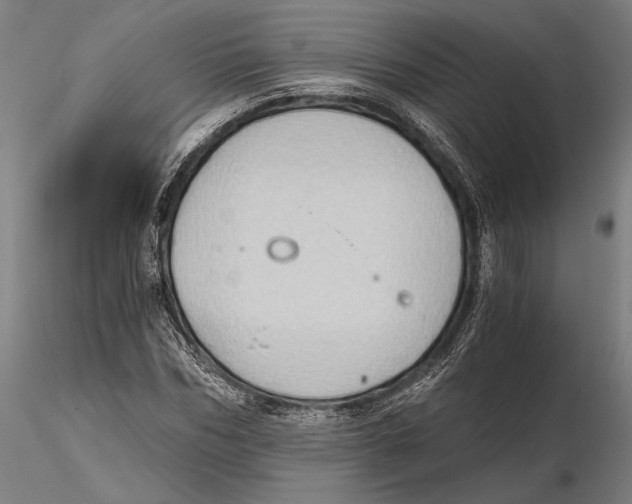 X0000115410970200912011336