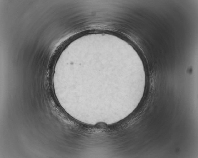 X0000115410971200912011336