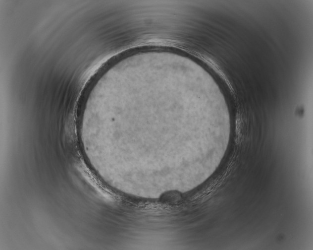 X0000115410972200912011336