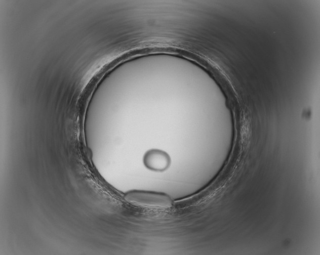 X0000115410973200912011336