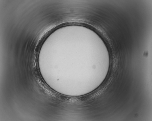 X0000115410974200912011336