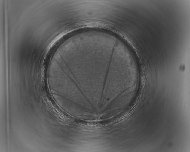 X0000115410975200912011336