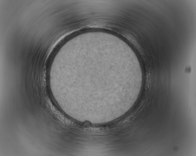 X0000115410976200912011336