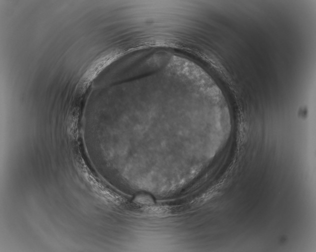 X0000115410977200912011336