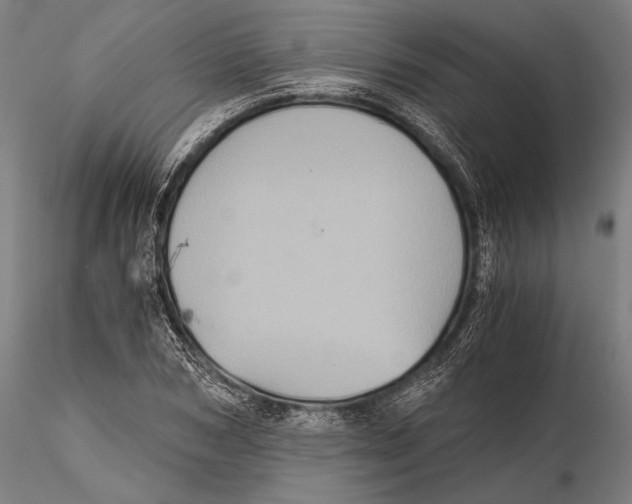 X0000115410978200912011336