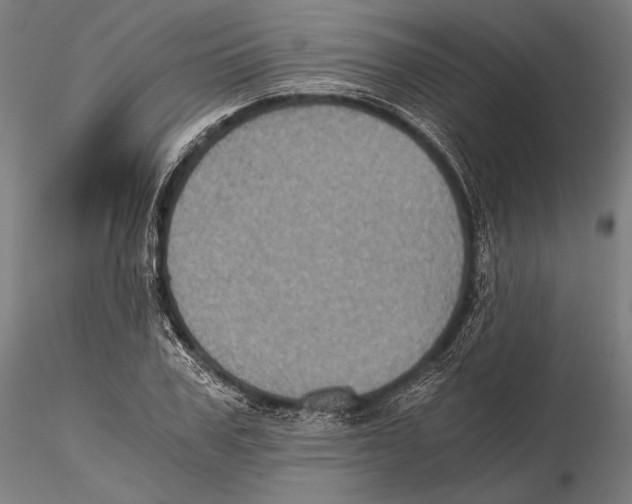 X0000115410979200912011336