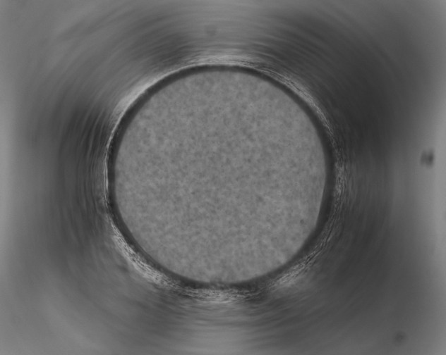 X0000115410980200912011336