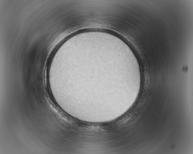 X0000115410982200912011336