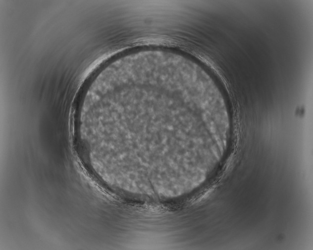 X0000115410983200912011336