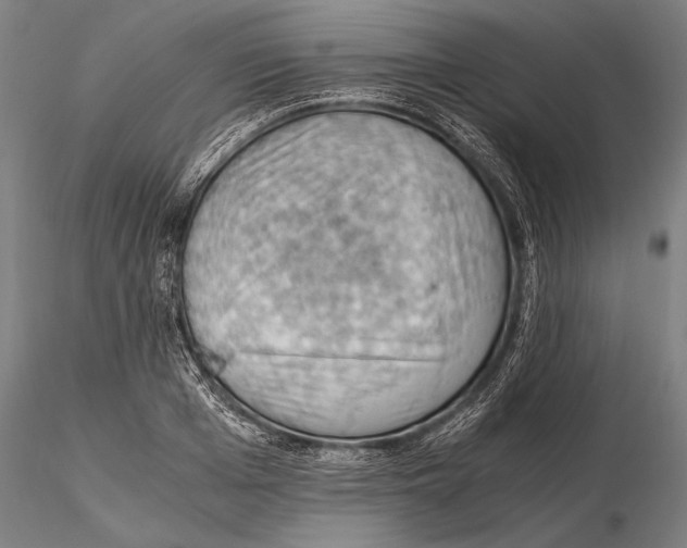 X0000115410985200912011336