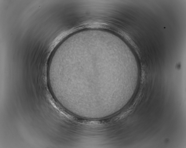 X0000115410986200912011336