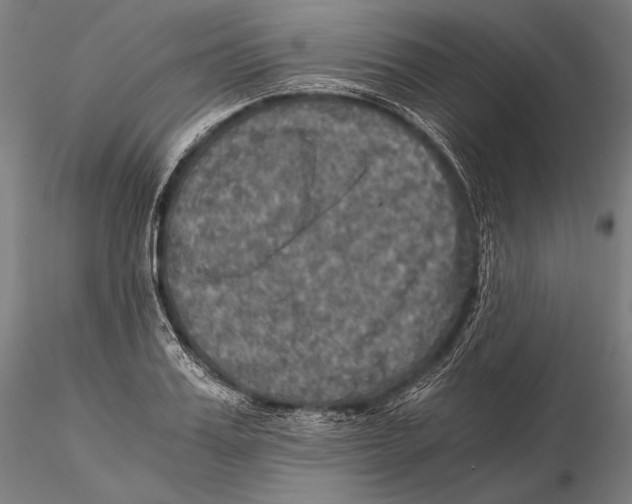 X0000115410987200912011336